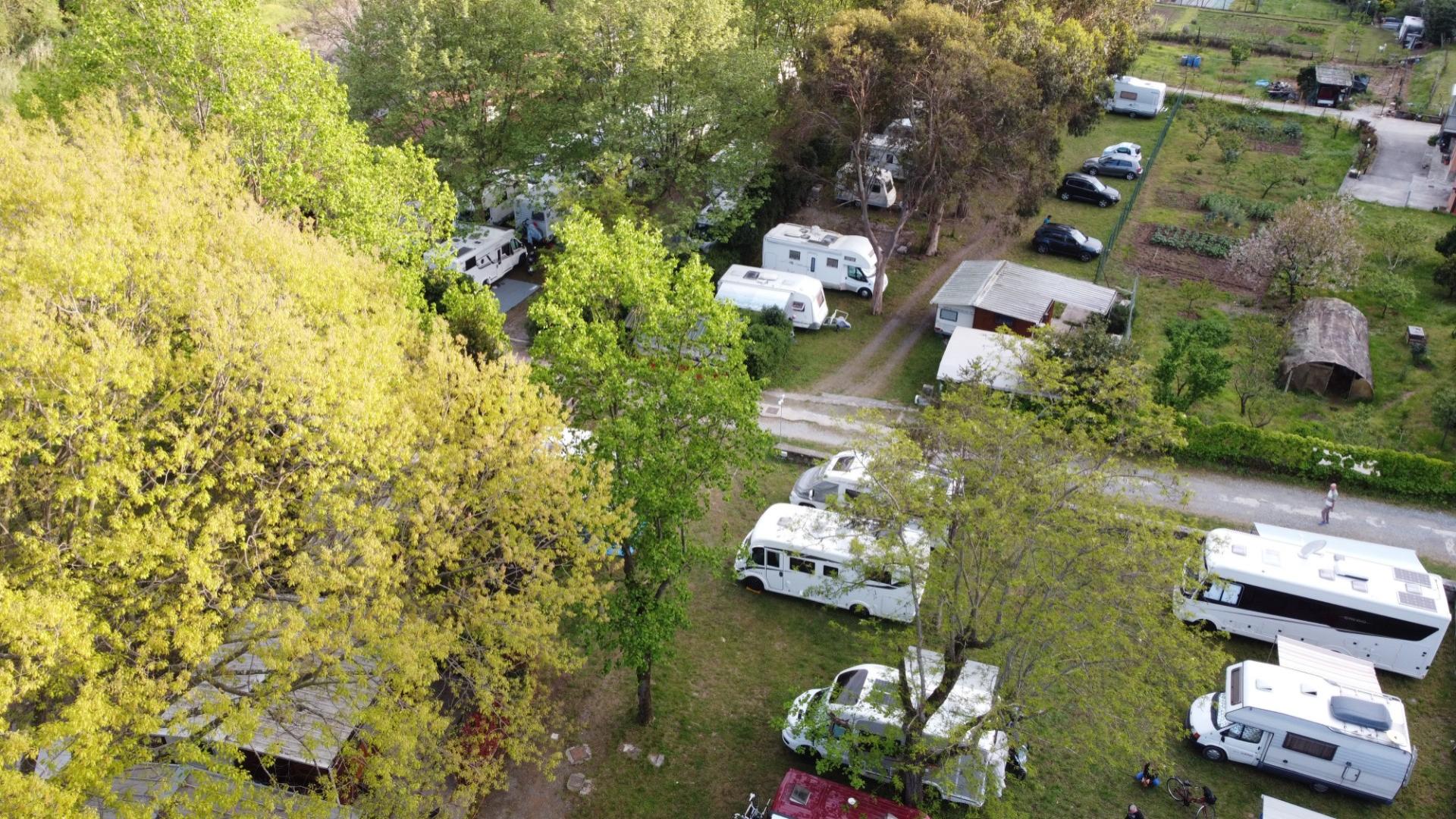 Camper parcheggiati tra gli alberi in un campeggio con aree verdi.