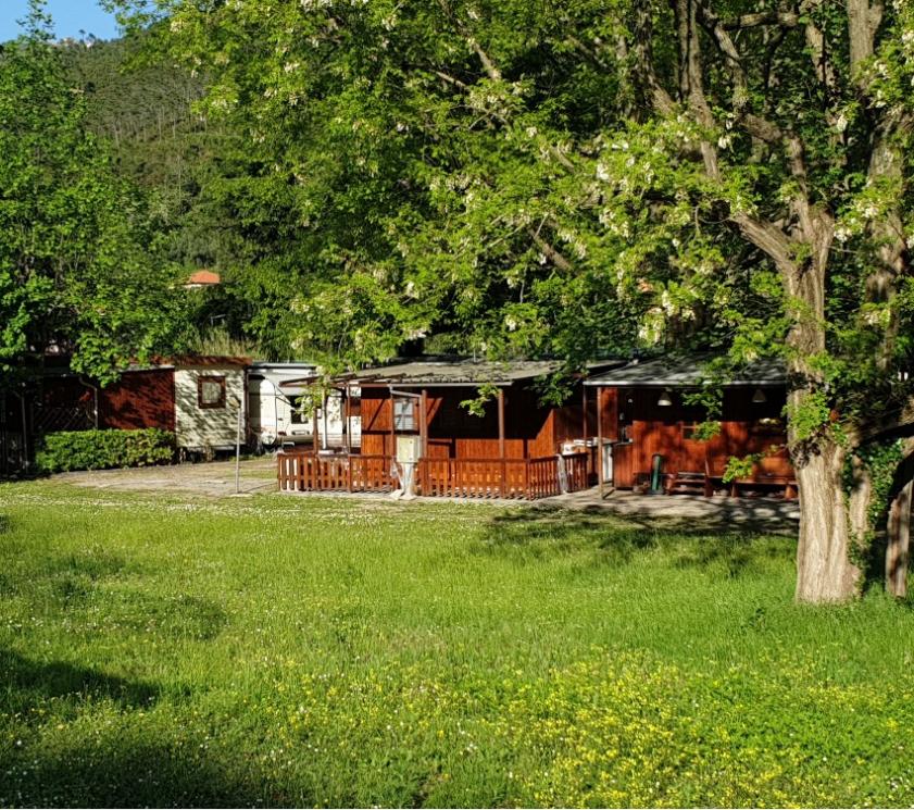 Casette di legno immerse nel verde con alberi e prato.